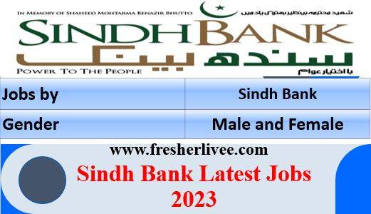 Sindh Bank Latest Jobs 2023