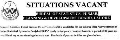 Bureau of Statistics Punjab Jobs 2024