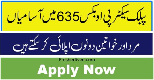 Govt Rawalpindi New Jobs 2024