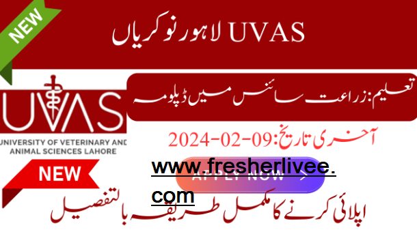 UVAS Lahore Jobs 2024 | Online Apply