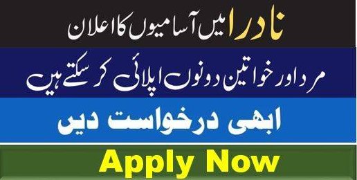 NADRA Latest Balochistan Jobs 2024
